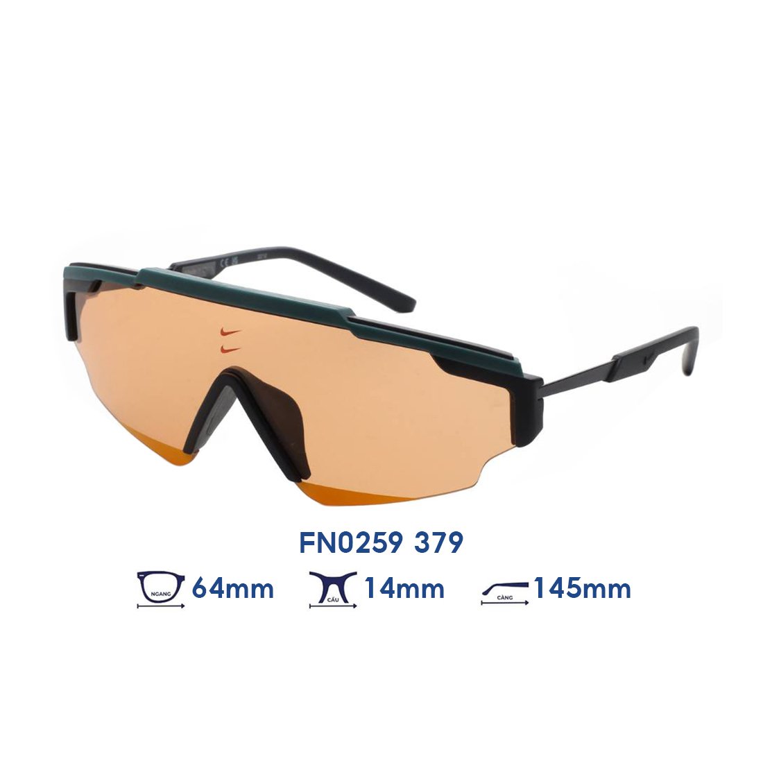 Kính mát NIKE FN0259 379